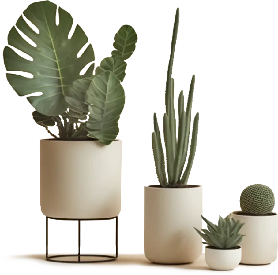 plant-featured